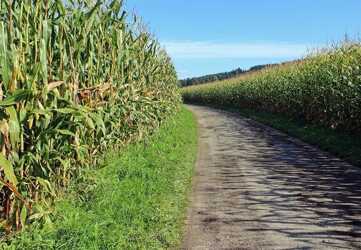 Avalúo Agropecuario